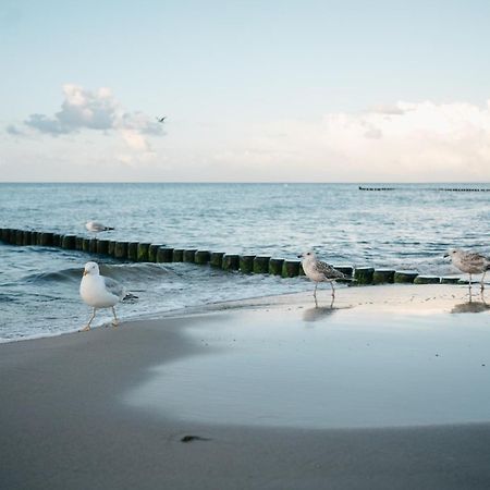 Kamphof Usedom Ferienanlage Loddin Kültér fotó