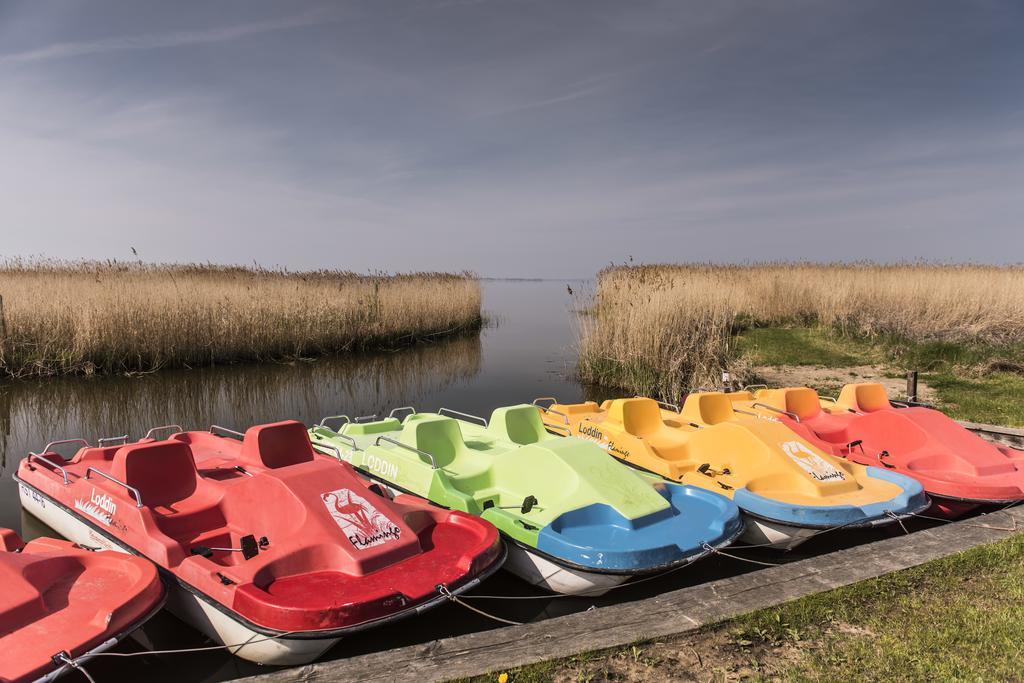 Kamphof Usedom Ferienanlage Loddin Kültér fotó